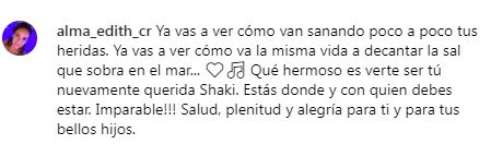 Comentarios a Shakira. 