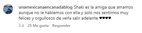 Comentarios a Shakira.