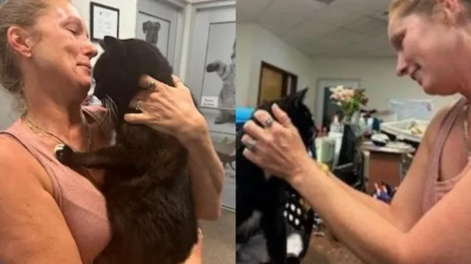 Mujer-se-reencontró-con-gato-después-de-10-años-