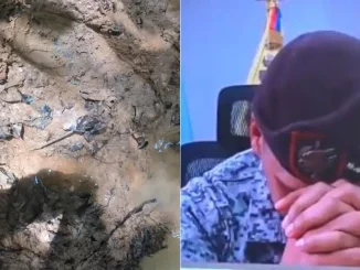 Pistas-de-menores-desaparecidos-en-el-Guaviare-