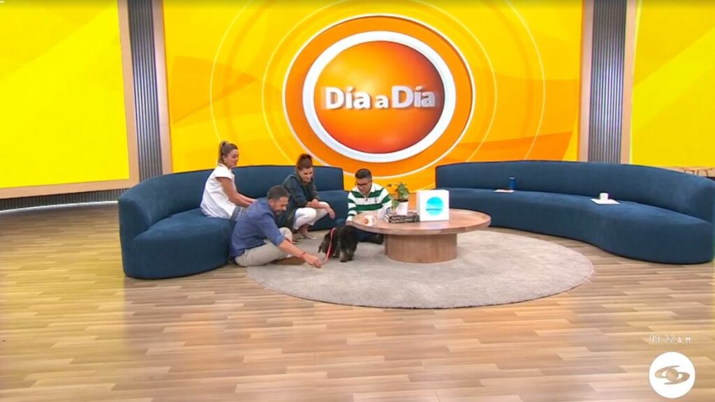 dia-a-dia-perrita-adoptada