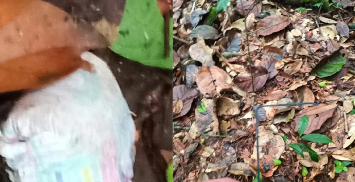 Pañal encontrado en la selva