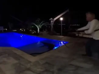 Cocodrilo-en-una-piscina-