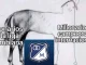Millonarios-memes-
