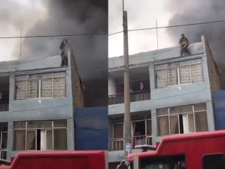 Colombiano rescató perros de incendio en Perú