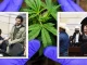 Se-hundió-proyecto-para-regular-el-consumo-de-Cannabis-
