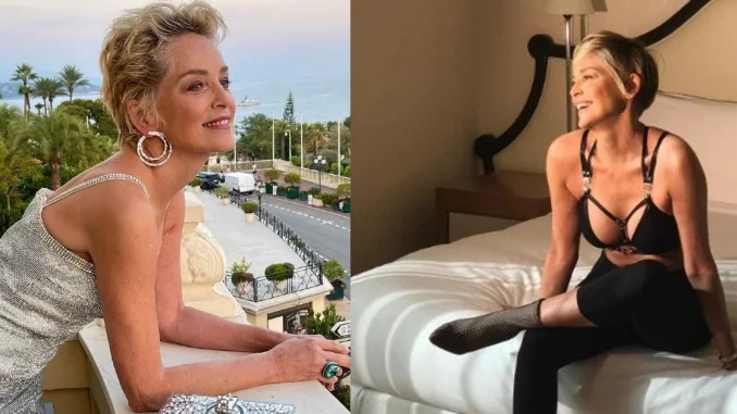 Sharon Stone, bikini, actriz, farándula, estilo de vida, foto, viral, redes sociales, Q’Hubo Medellín