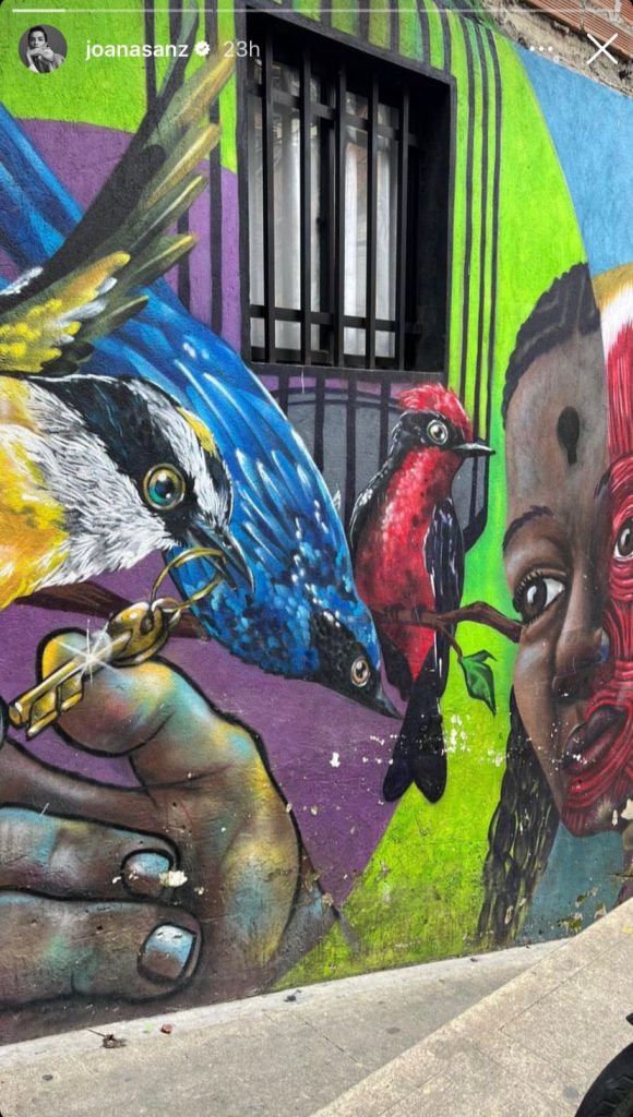 Historias de Instagram de Joana Sanz