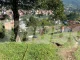 A puñaladas mataron a un hombre en Caldas