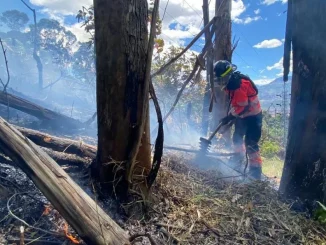 Bomberos-controlaron-incendio-en-Santa-Elena