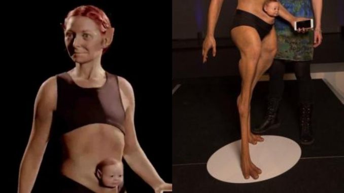 Cuerpo humano perfecto
