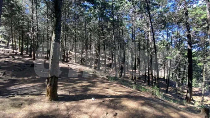 En este lugar fue hallado el cadáver de la mujer.