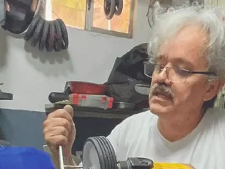 SILLAS DE RUEDAS PERROS