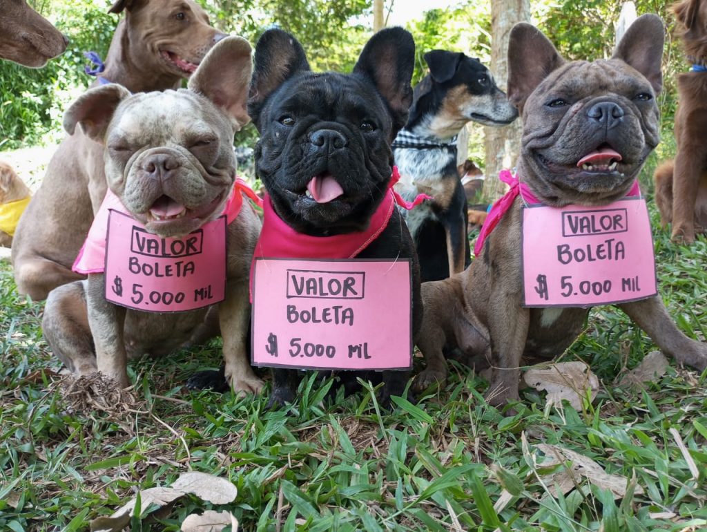 Valor de la boleta