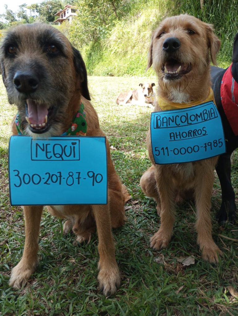 Cuentas para ayudar a esta fundación