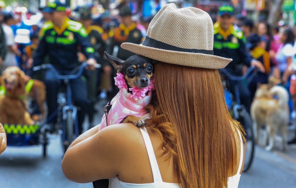 Caminata Canina y de Mascotas 2023 