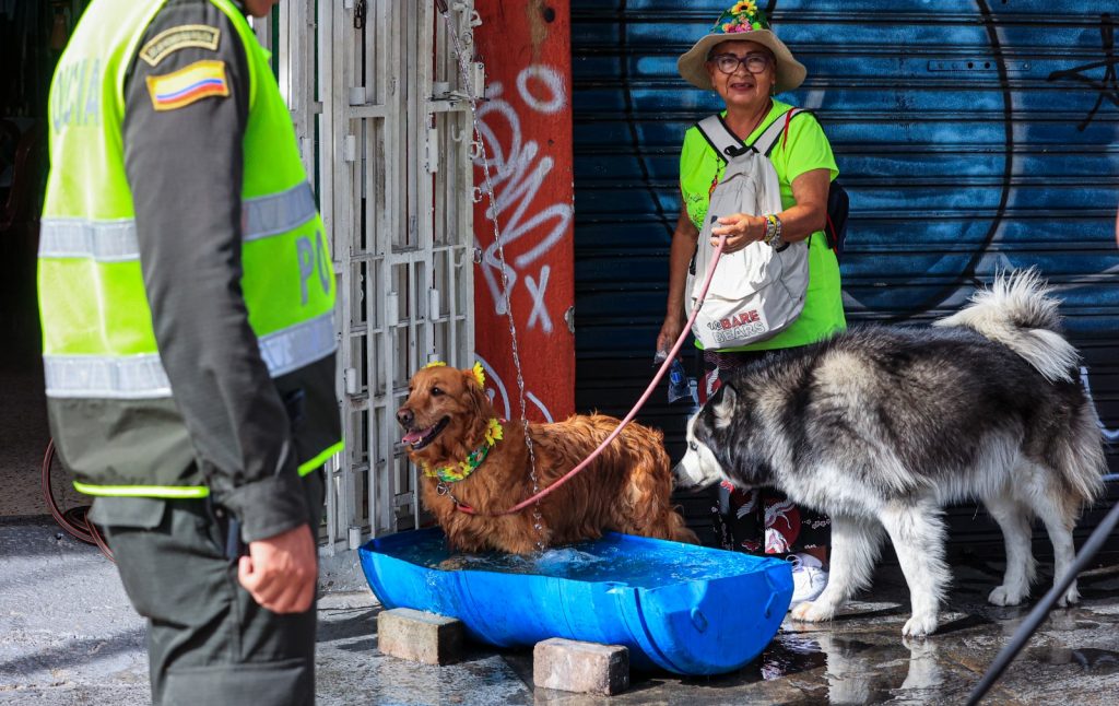 Caminata Canina y de Mascotas 2023 