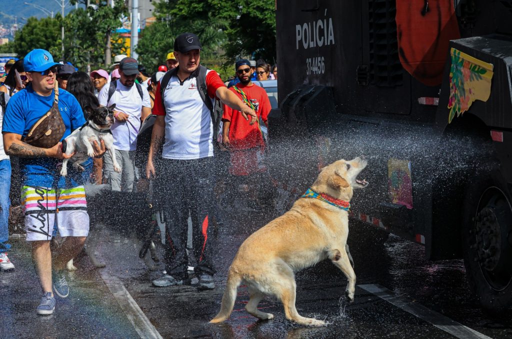 Caminata Canina y de Mascotas 2023 