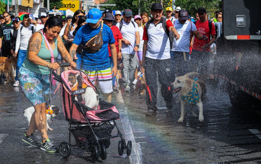 Caminata Canina y de Mascotas 2023 