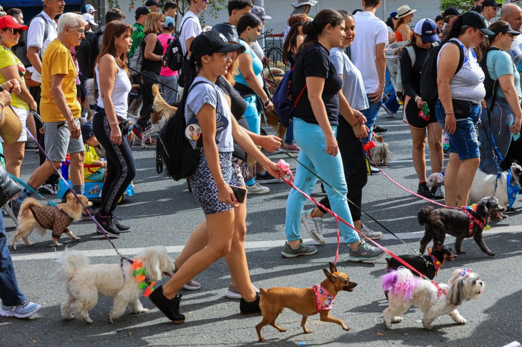 Caminata Canina y de Mascotas 2023 