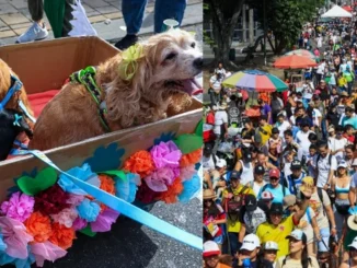 La Caminata Canina y de Mascotas fue masiva.