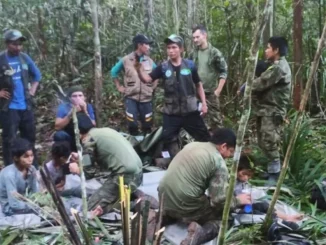 Les dieron de alta a los niños rescatados en la selva del Guaviare