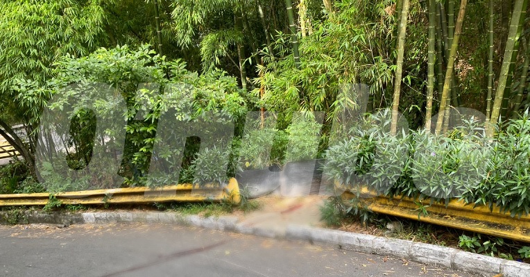 Homicidio de un presunto ladrón en Robledo Palenque, el sábado 30 de julio
