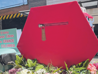 Bolso gigante