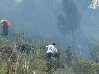 El incendio en el cerro El Picacho tardó 12 horas en ser controlado.