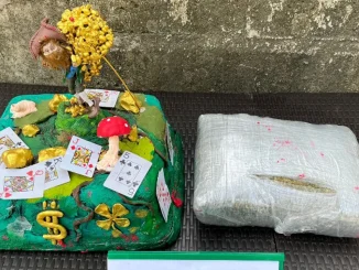 Torta, marihuana, estupefaciente, drogas, incautación, caninos, policía, mercancía, encomienda, país, Colombia, Policía, judicial, Q’Hubo de hoy, Q’Hubo Medellín