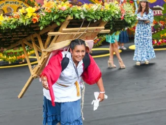 Feria de las Flores, Silletas, silleteros, ganadores, categorías, Desfile de Silleteros, Medellín, Santa Elena, tradición, flores, cultura, antioqueños, cultivos, Q’Hubo de hoy, noticias hoy, Q’Hubo Medellín