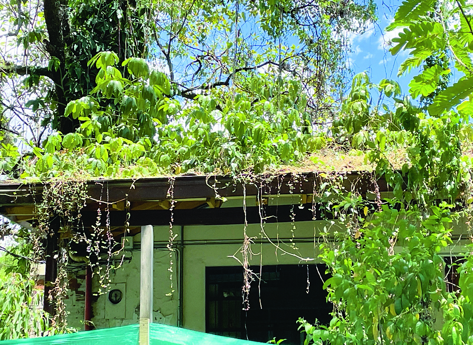 Preventorio Belén