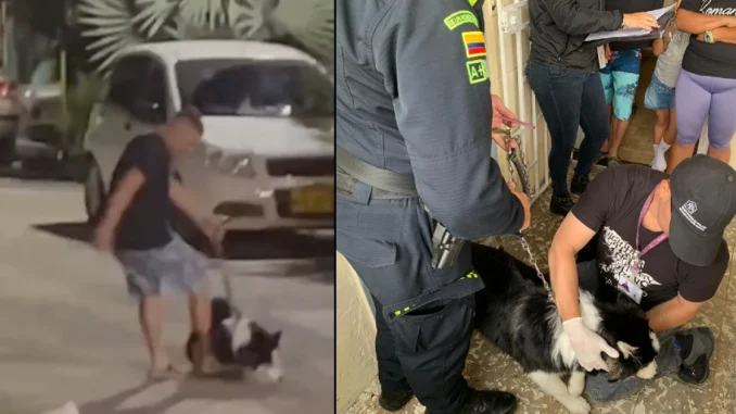 El ataque al perro fue captado en video por uno de sus vecinos. Las autoridades llegaron hasta la casa del presunto atacante para llevarse al canino.
