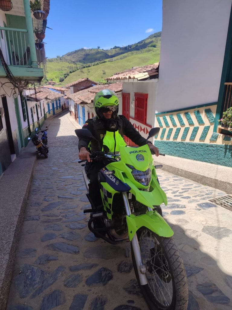 El perro policía acompaña a sus compañeros en los patrullajes de la Policía de Concepción. 