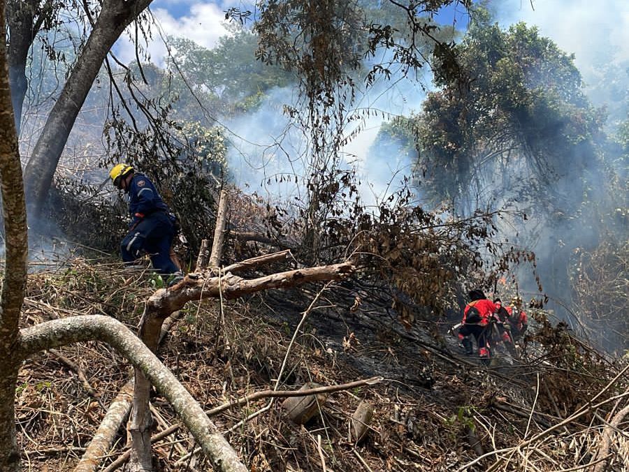 Bomberos Medellín