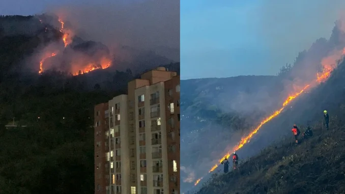 Así fue el incendio en zona boscosa entre el Seminario Mayor y el Túnel de Oriente.