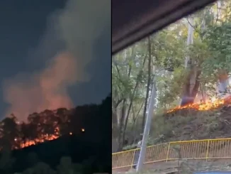 El Cuerpo de Bomberos de Medellín atendió tres incendios de cobertura forestal el pasado martes 8 de agosto.