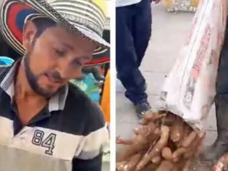 Campesino-en-Anorí