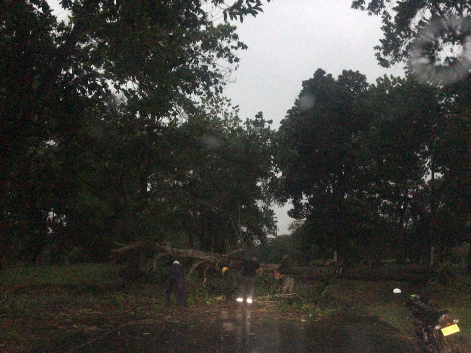 Caucasia vendaval 