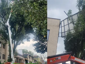 El vendaval en Envigado no dejó personas heridas pero sí algunos daños materiales.
