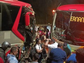 Buses