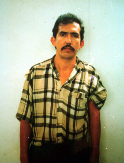 Luis Alfredo Garavito