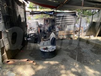 Diego muerto en mueble de Florencia
