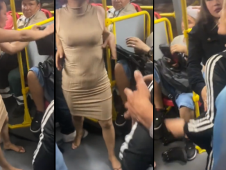 Pelea mujeres Transmilenio